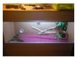 Bearded dragon vivarium. Here is everthin you could....