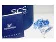 Swarovski SCS Special Event Piece Blue Dart Frog. Brand....